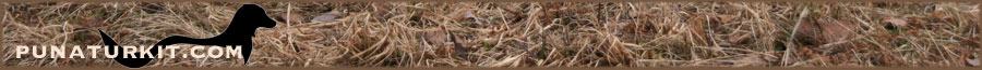 PUNATURKIT.COM